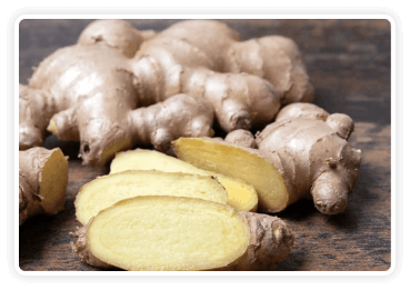 Mountain Ginger