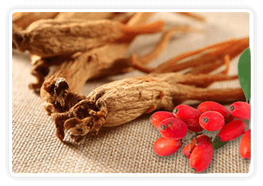 Red Ginseng